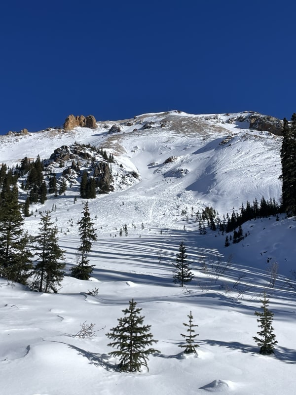 Observation photo 3