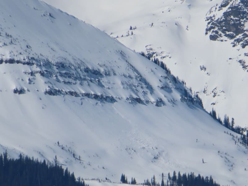 Observation photo 5