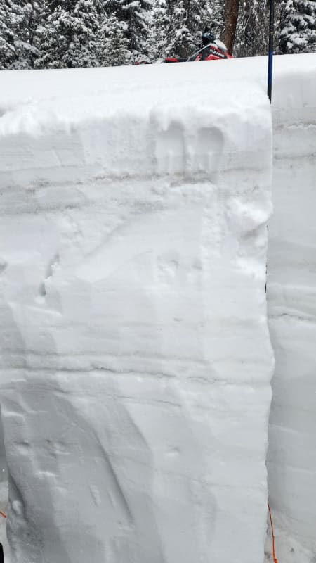 Observation photo 5