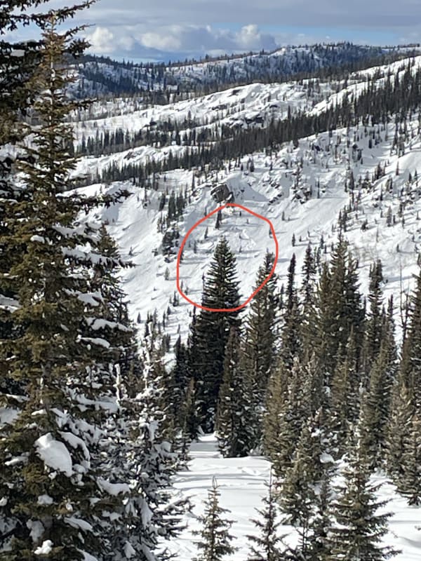 Observation photo 1