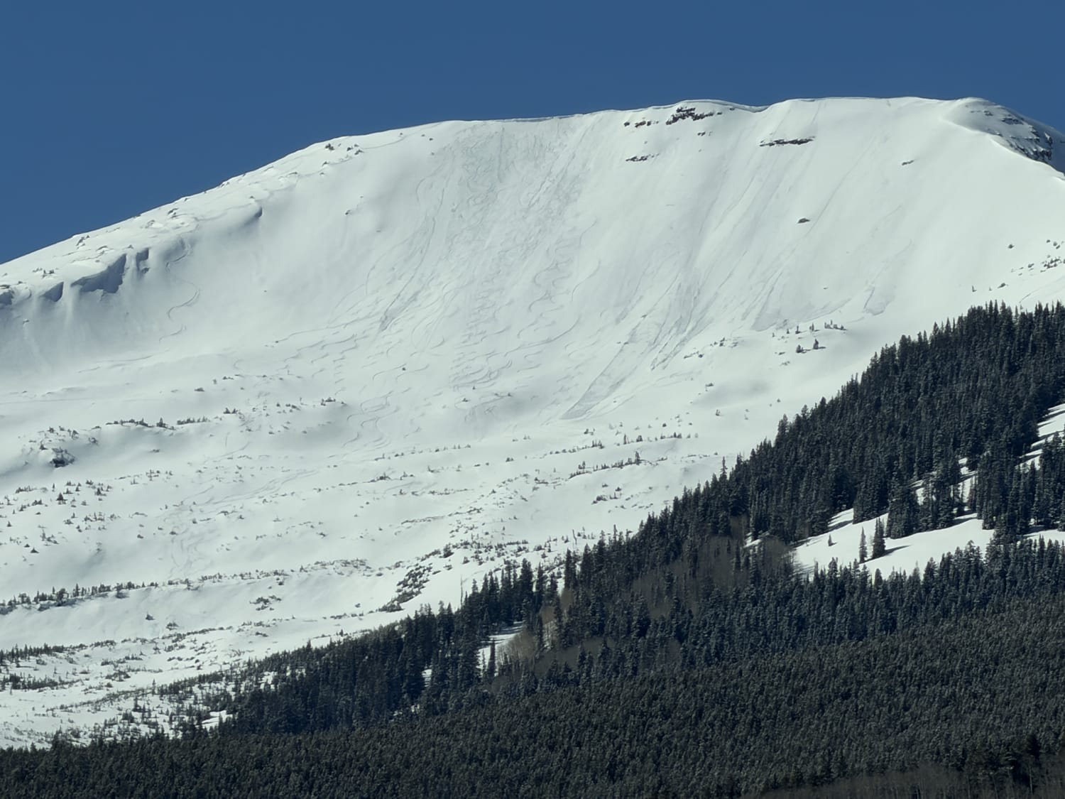 Observation photo
