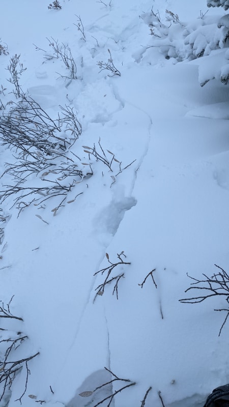 Observation photo 2