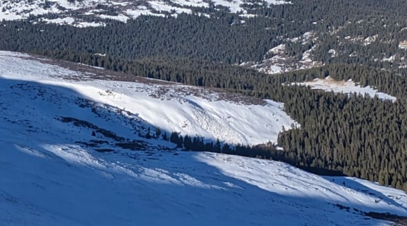 Observation photo 1