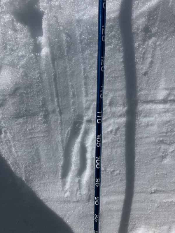 Observation photo 1