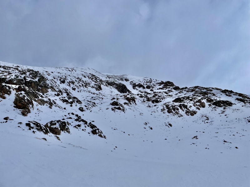 Observation photo 1
