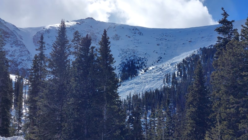 Observation photo 1