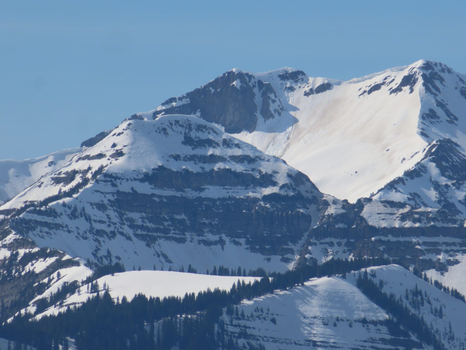 Observation photo