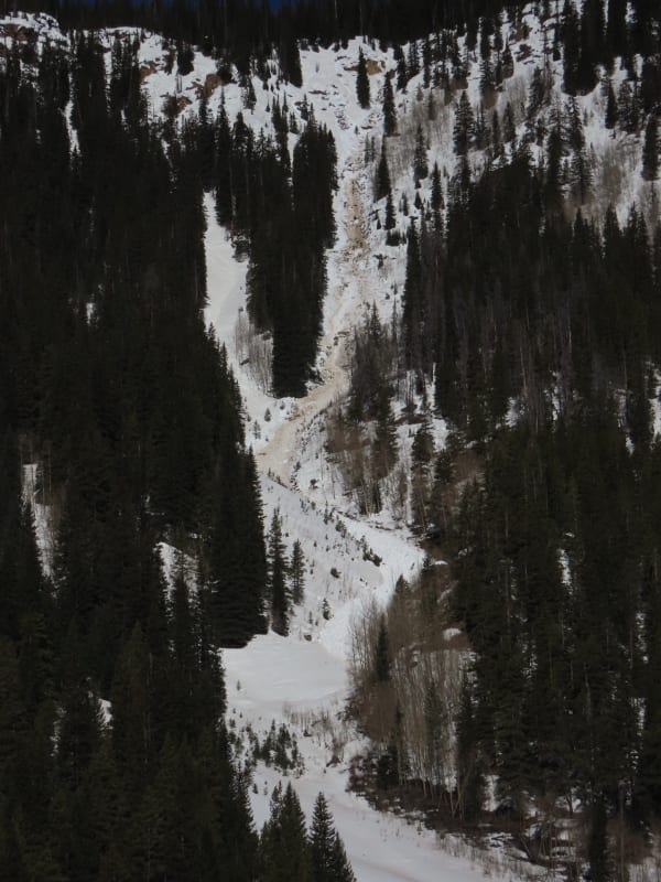 Observation photo 1