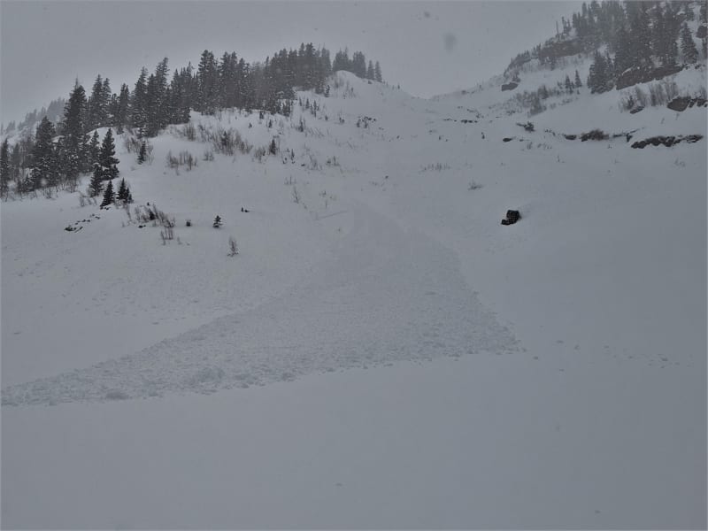 Observation photo 5