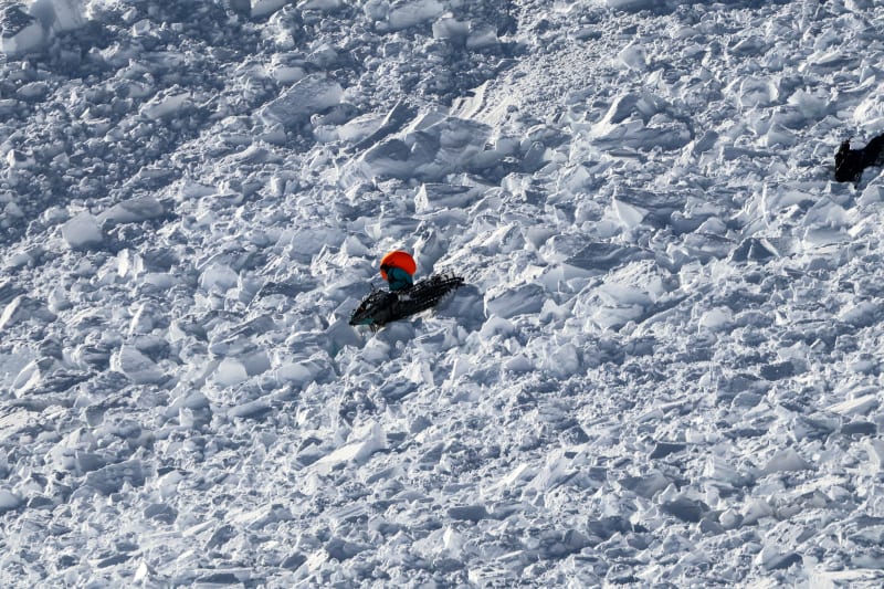 Observation photo 3
