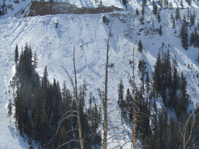 Observation photo 2