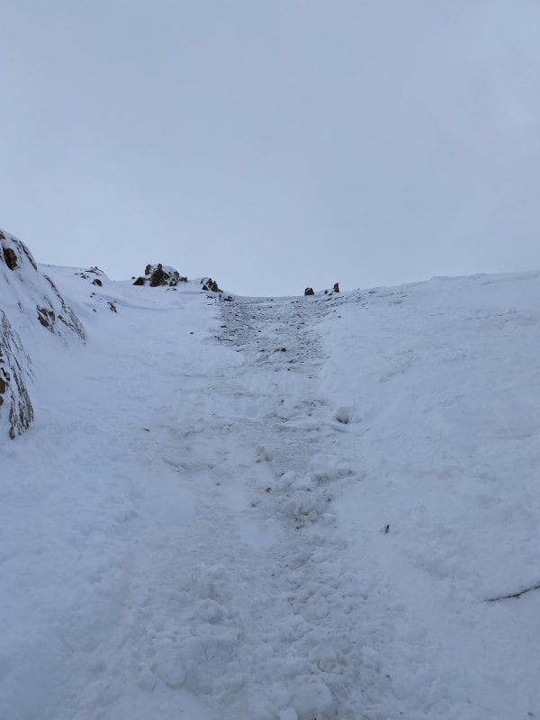 Observation photo 1