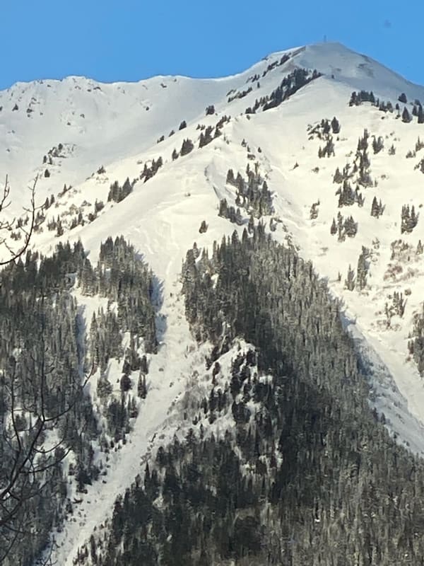 Observation photo 1