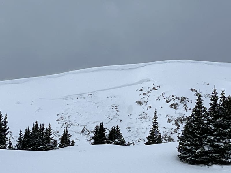 Observation photo 1