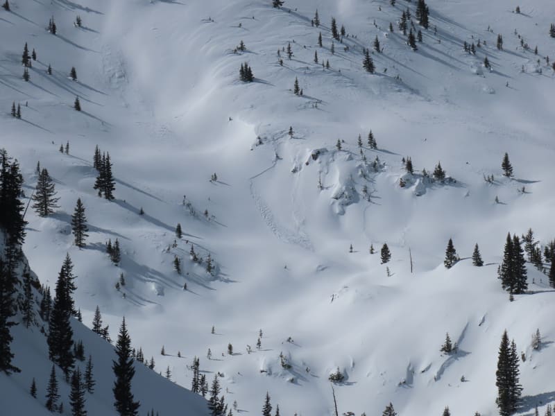 Observation photo 1