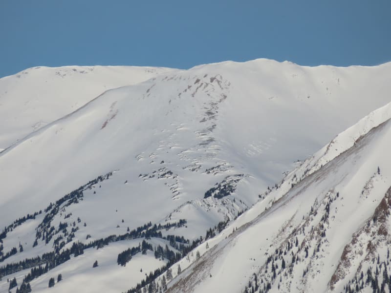 Observation photo 8