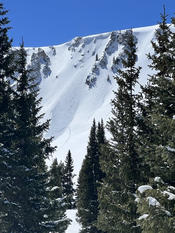 Observation photo 1