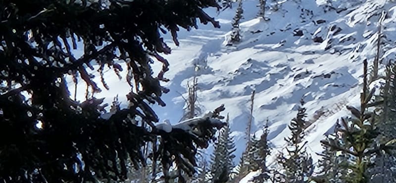 Observation photo 1