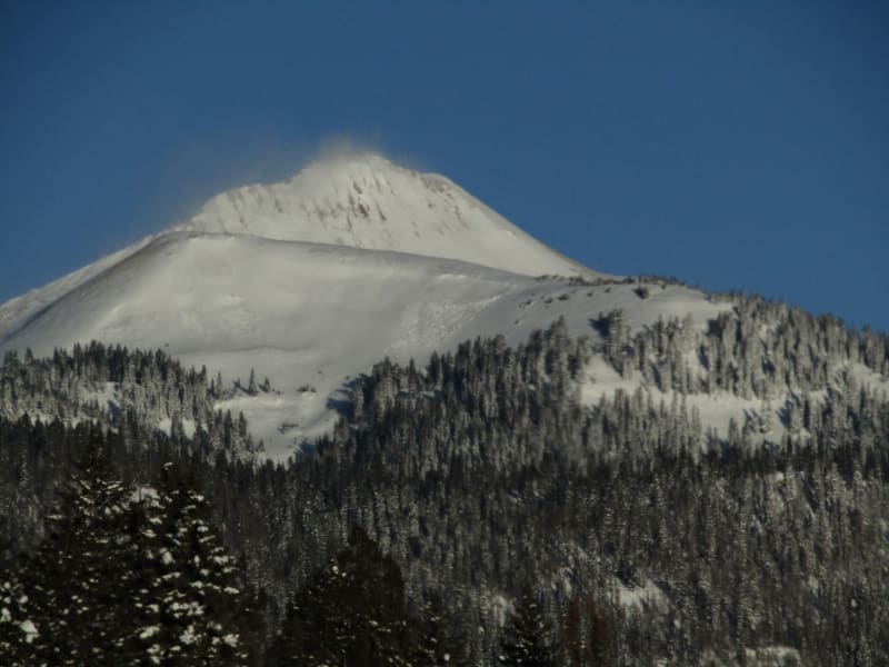 Observation photo 1