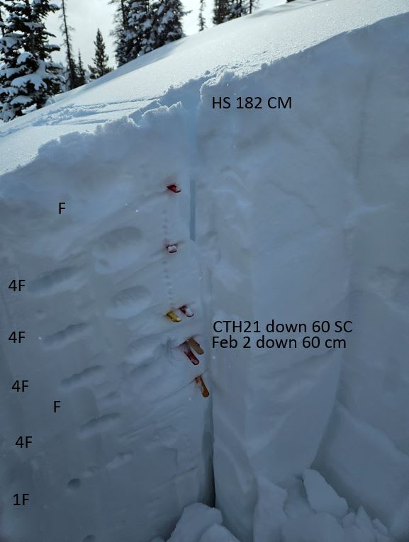 Observation photo 1