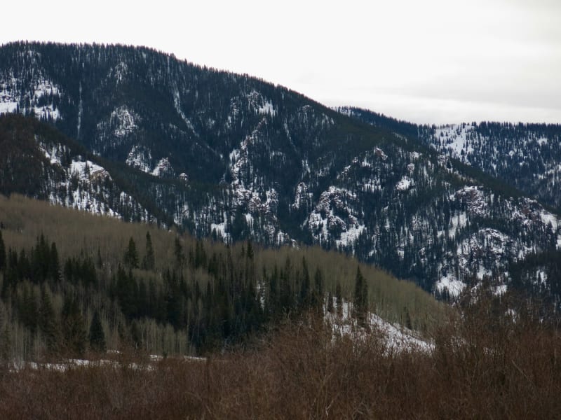 Observation photo 5