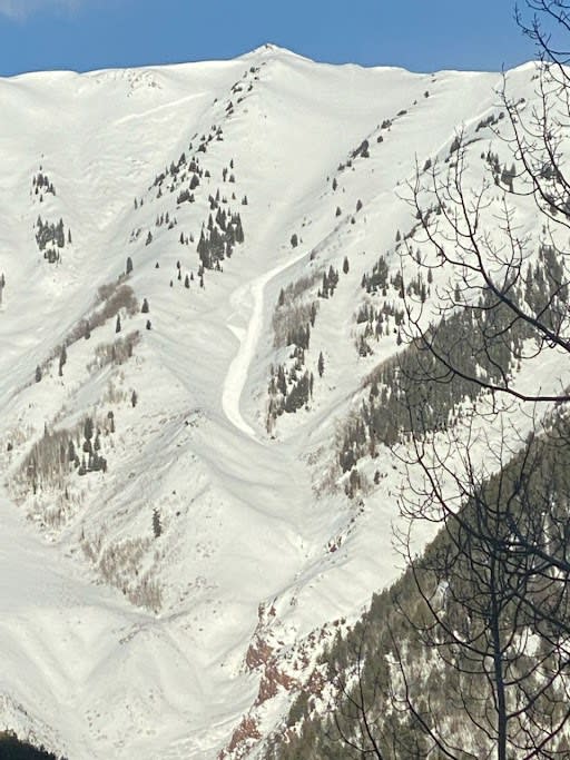 Observation photo 2