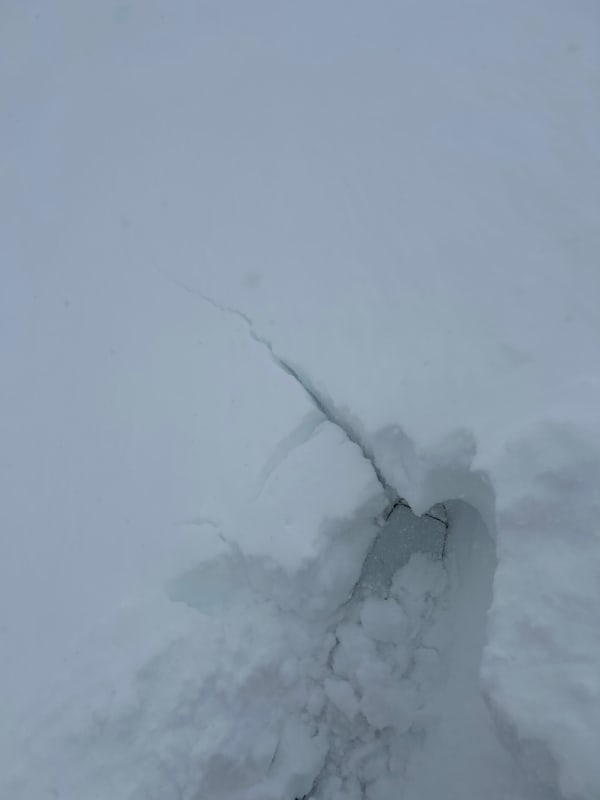 Observation photo 2