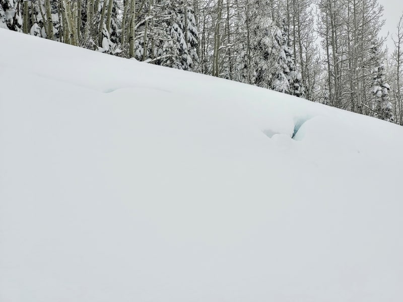 Observation photo 2