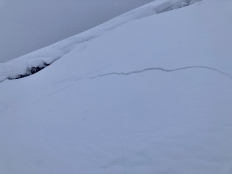 Observation photo 2