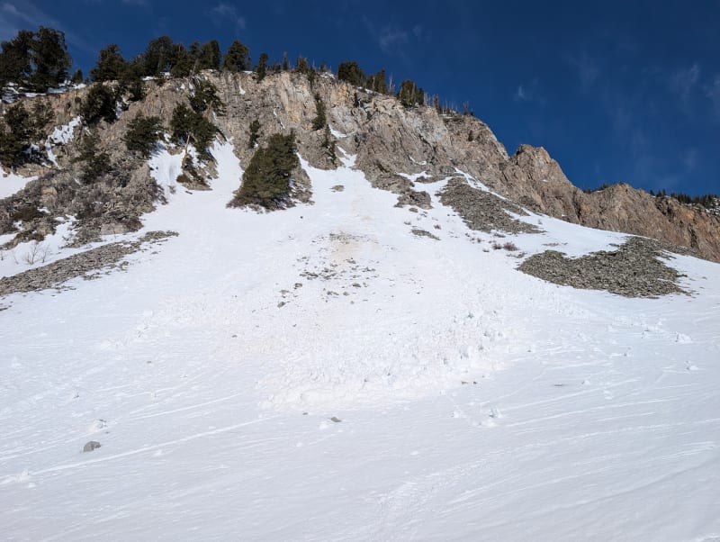 Observation photo 1
