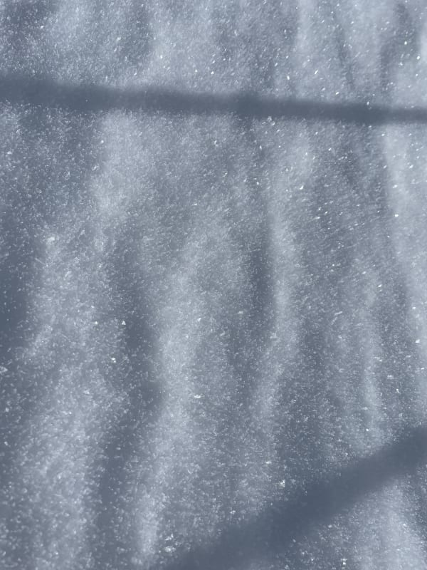Observation photo 4