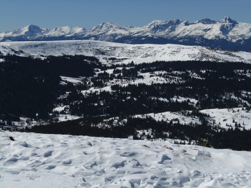 Observation photo 1