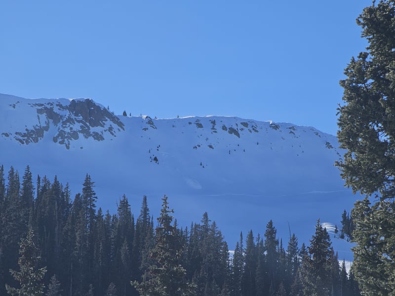 Observation photo 3