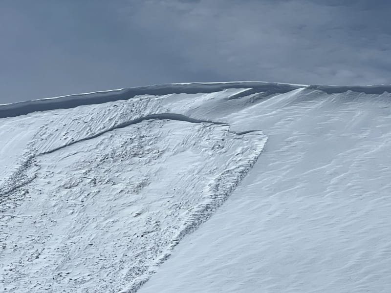 Observation photo 4