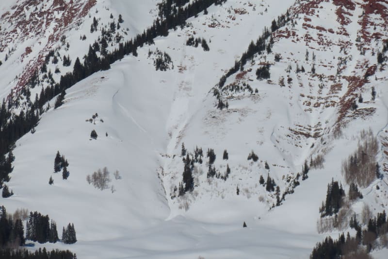 Observation photo 9