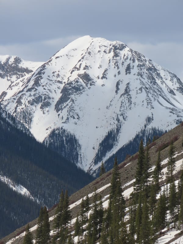 Observation photo 4