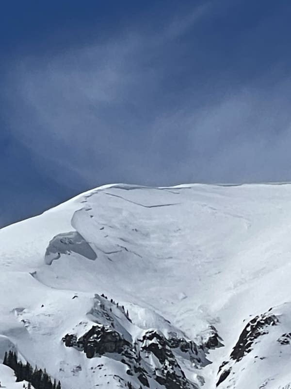 Observation photo 3