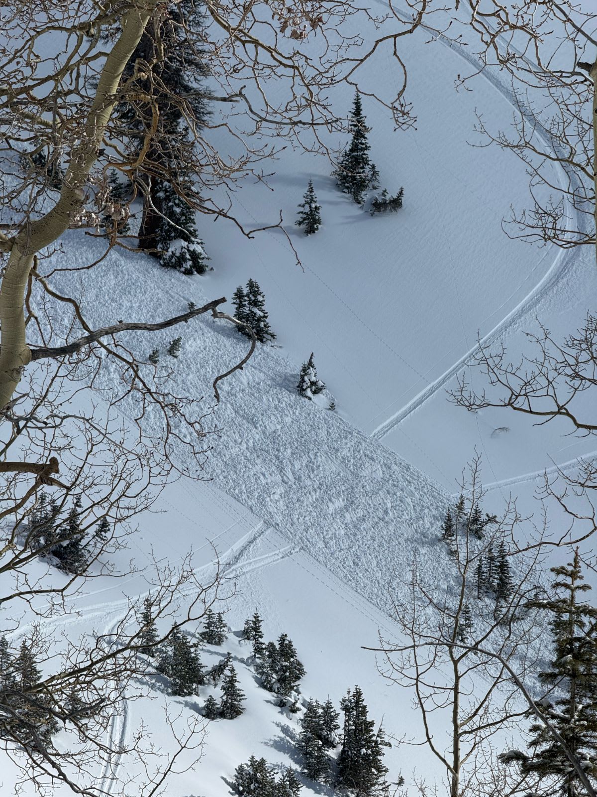 Observation photo