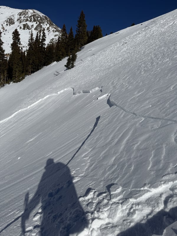 Observation photo 3