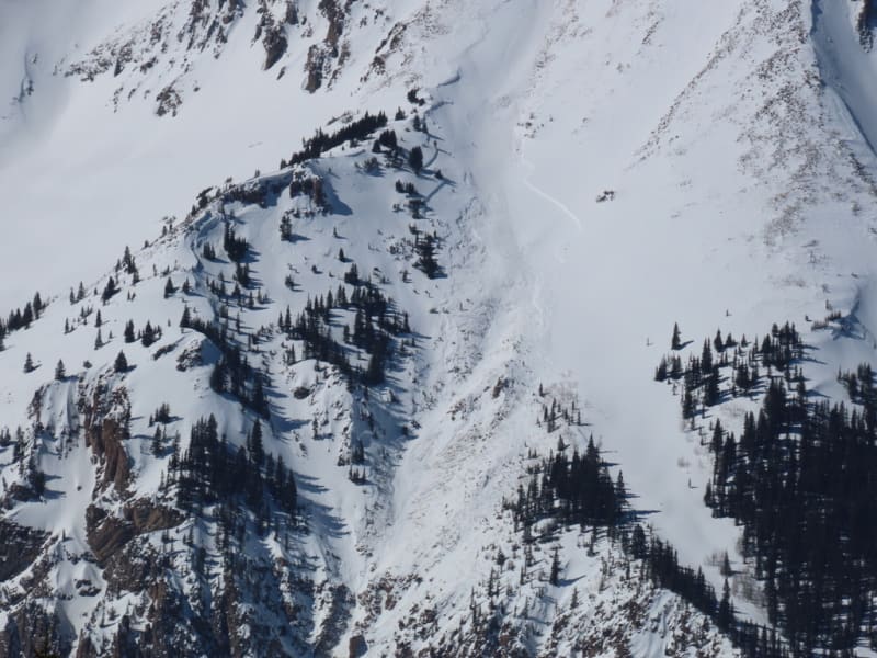 Observation photo 3
