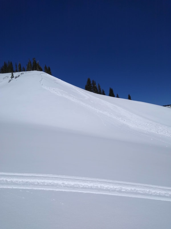 Observation photo 2