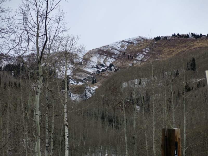 Observation photo 2