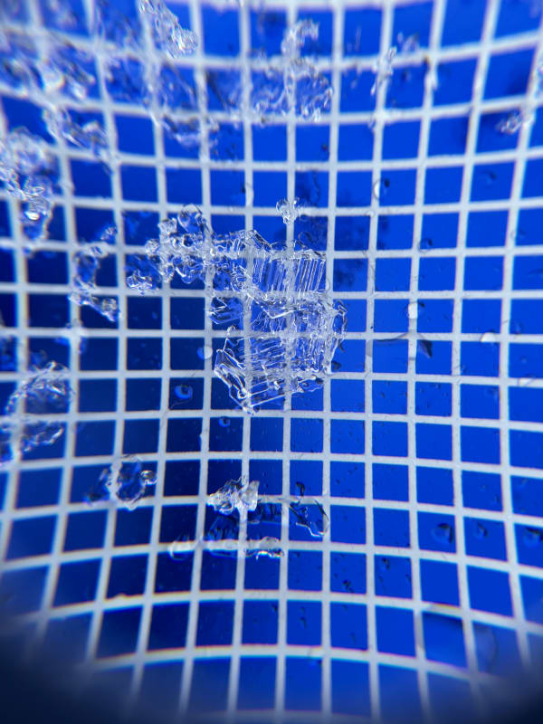 Observation photo 1