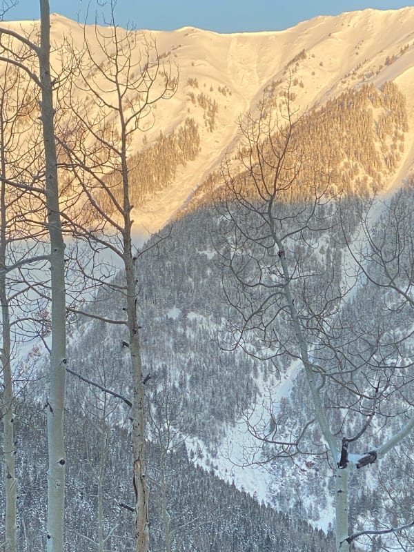 Observation photo 1