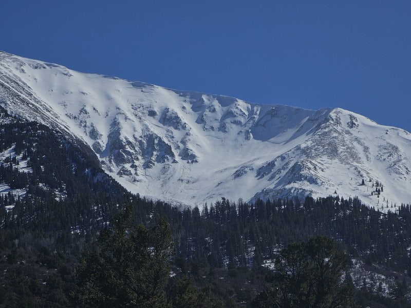 Observation photo 1