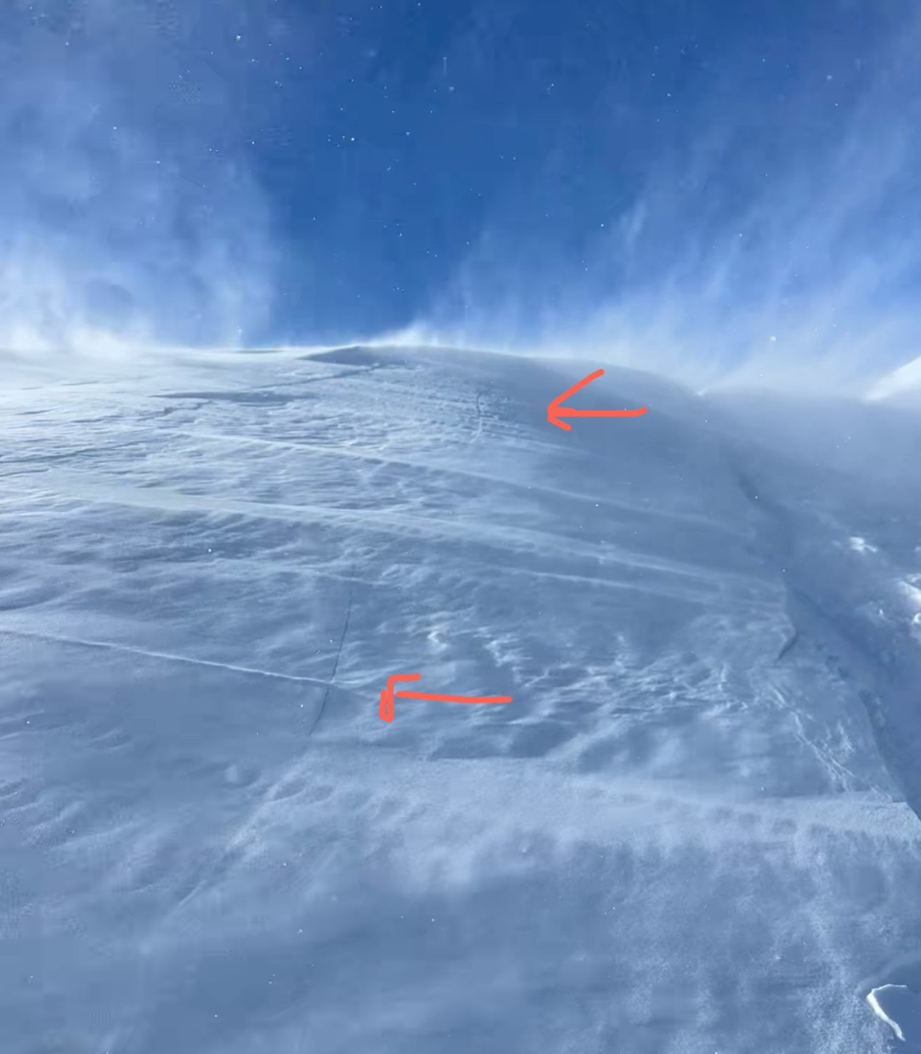 Observation photo