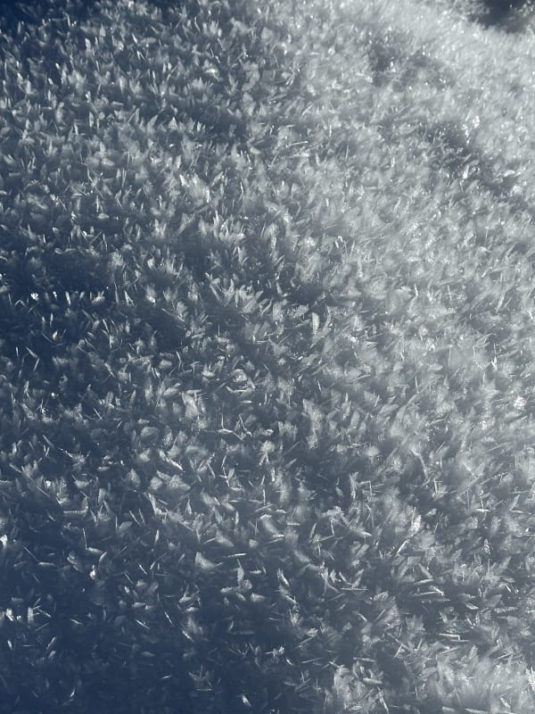Observation photo 4