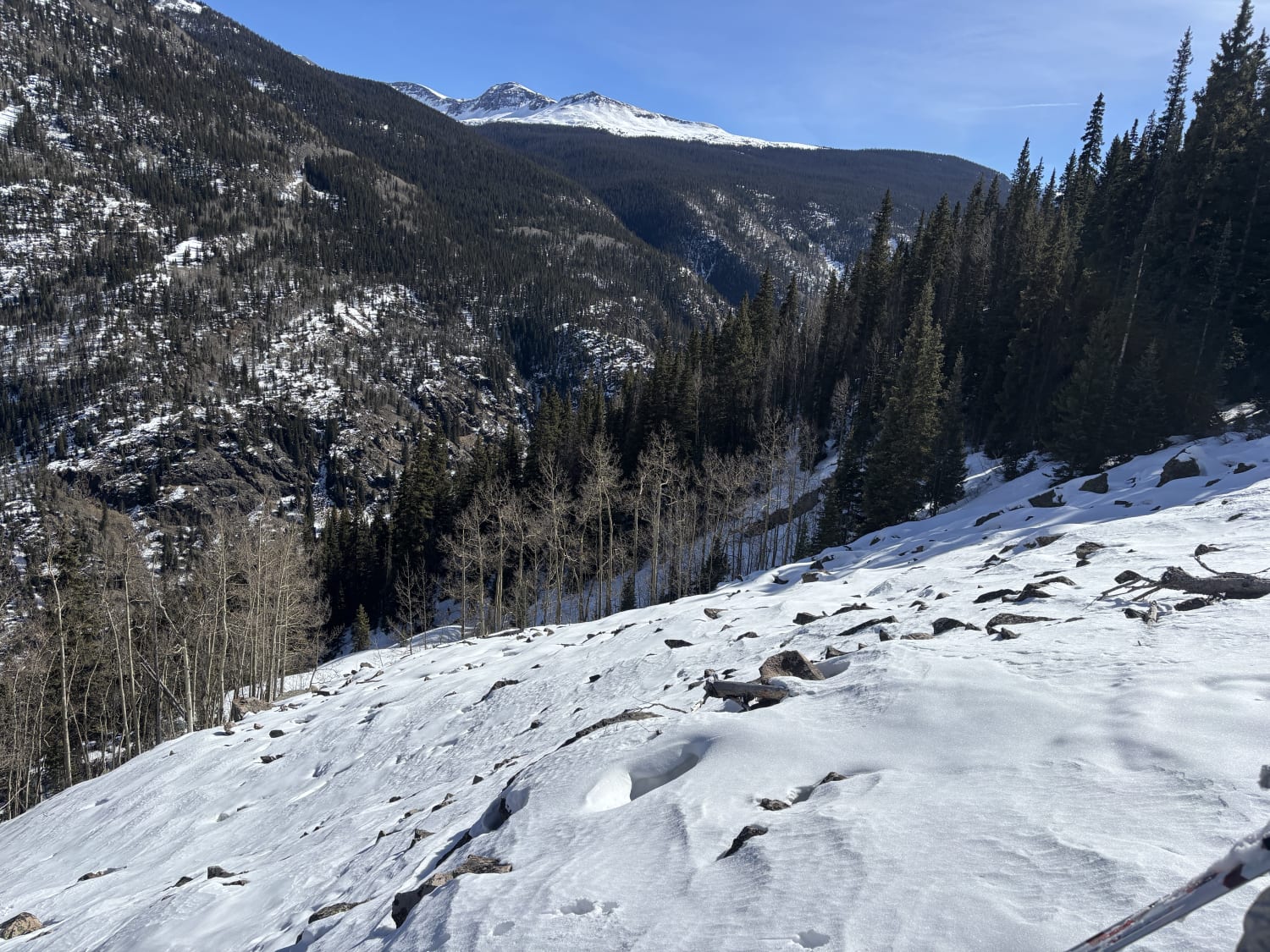 Observation photo