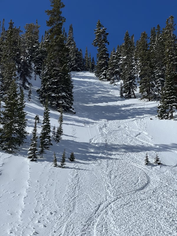 Observation photo 1