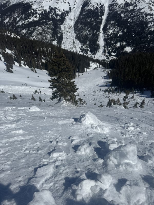 Observation photo 3
